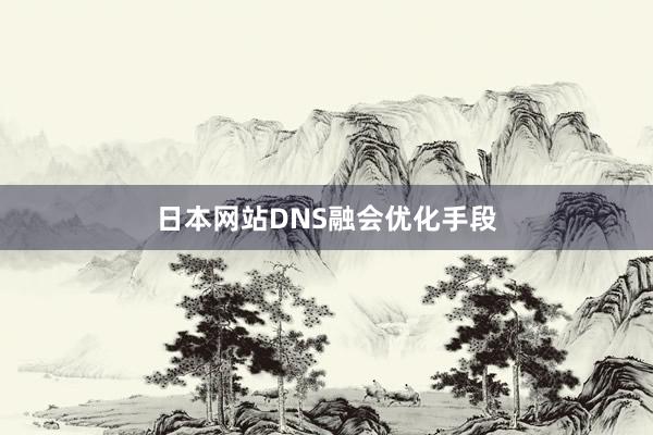 日本网站DNS融会优化手段