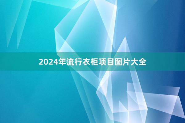 2024年流行衣柜项目图片大全