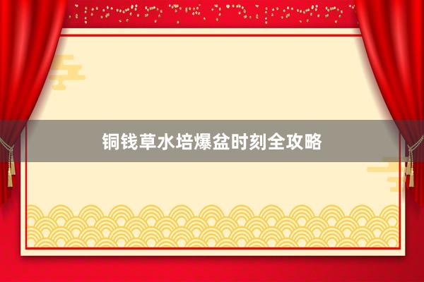 铜钱草水培爆盆时刻全攻略