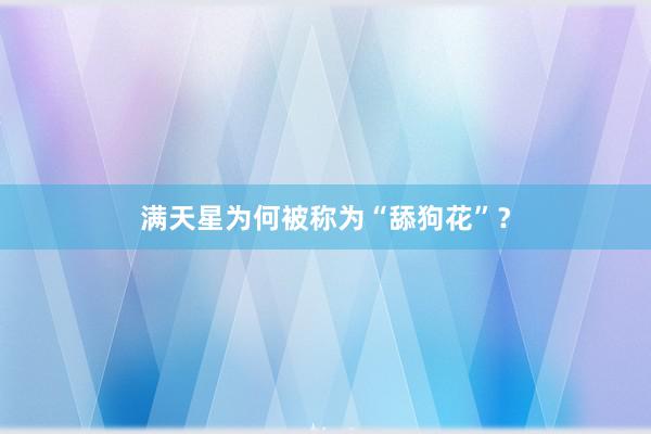 满天星为何被称为“舔狗花”？