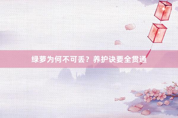 绿萝为何不可丢？养护诀要全贯通